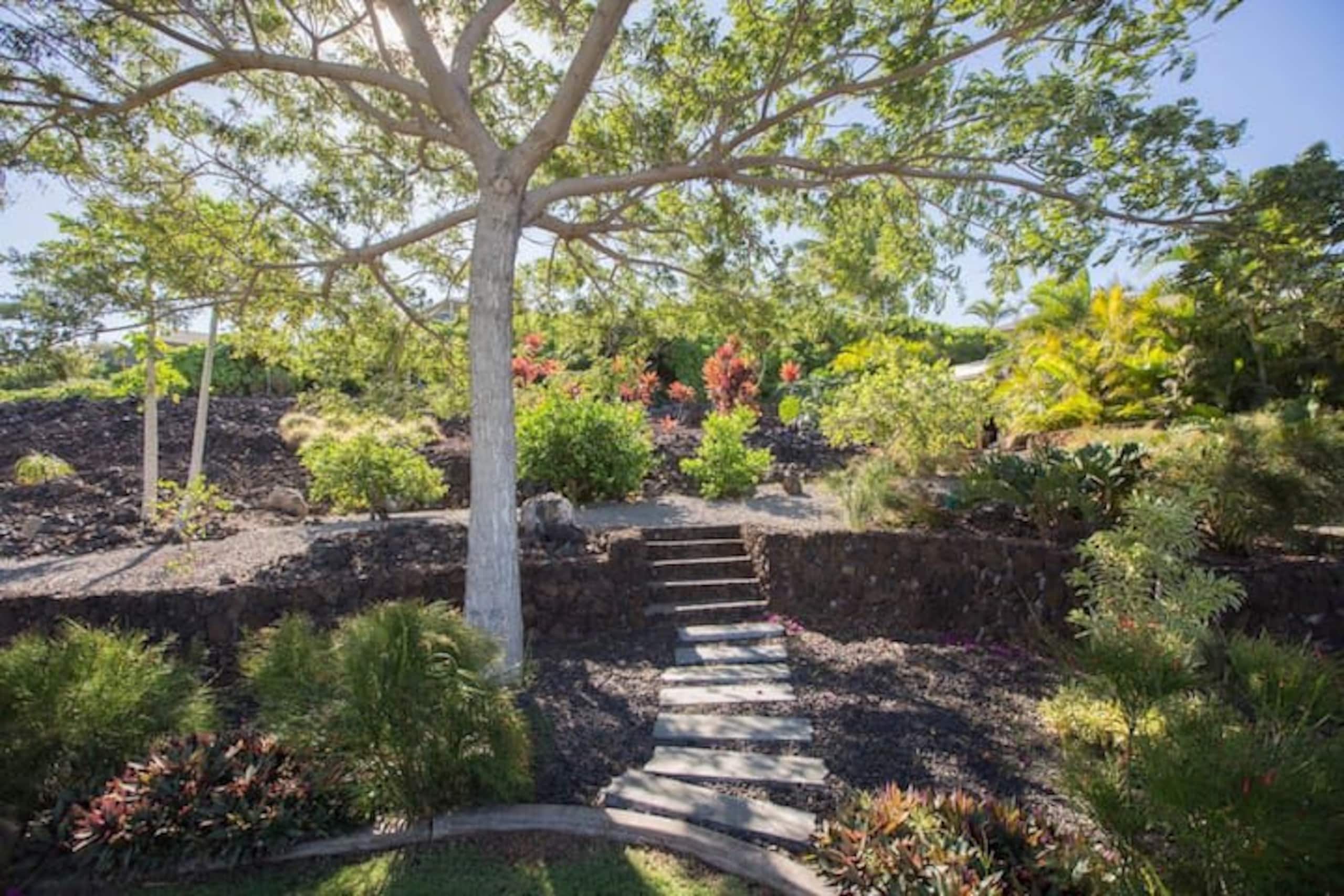 1+ Acre Private Resort, 4BD + 3BTH, Cinema, Spa - Photo 198