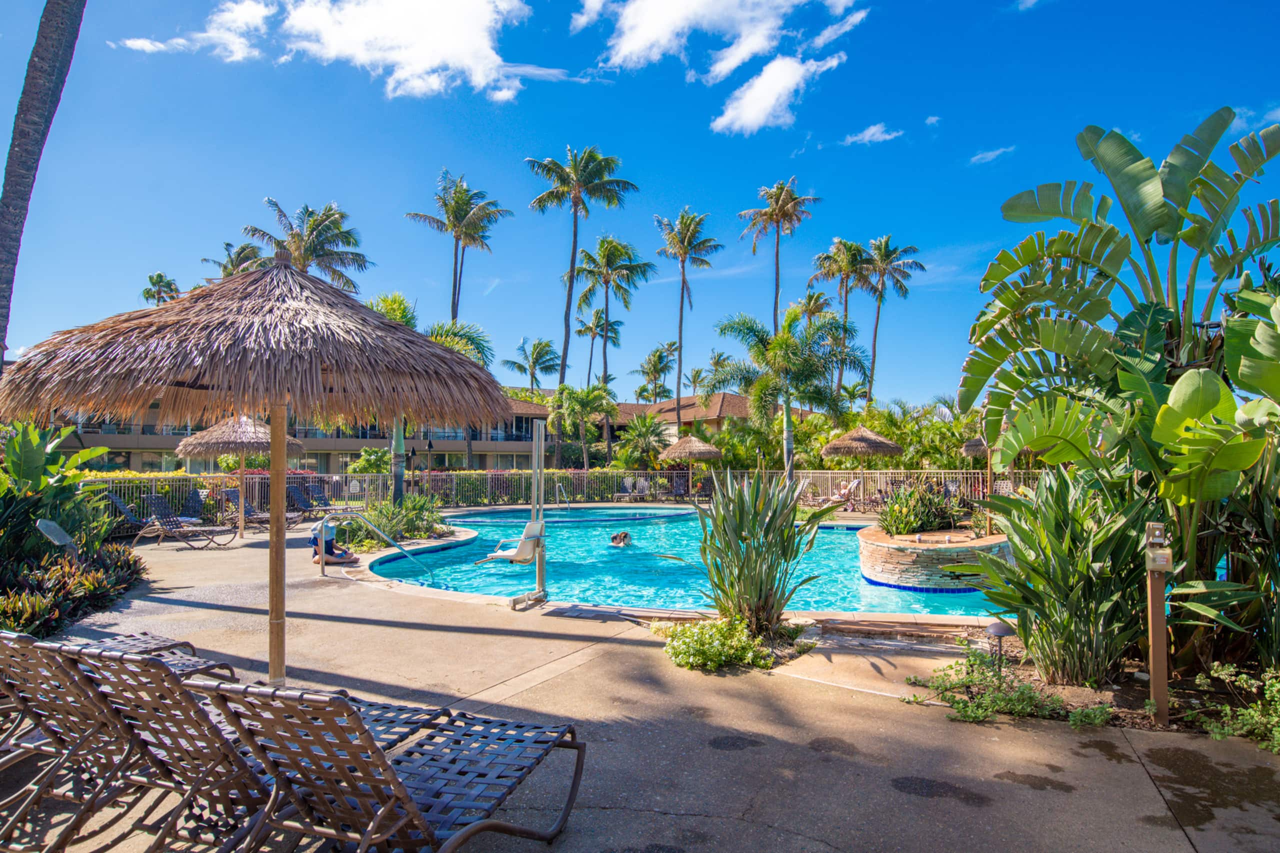 Condo in Lahaina · ★4.91 · Studio · 2 beds · 1 shared bath - Image 14