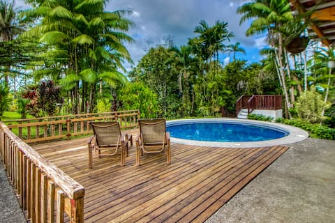 Lush 4BR | Private Pool | Fireplace | Deck