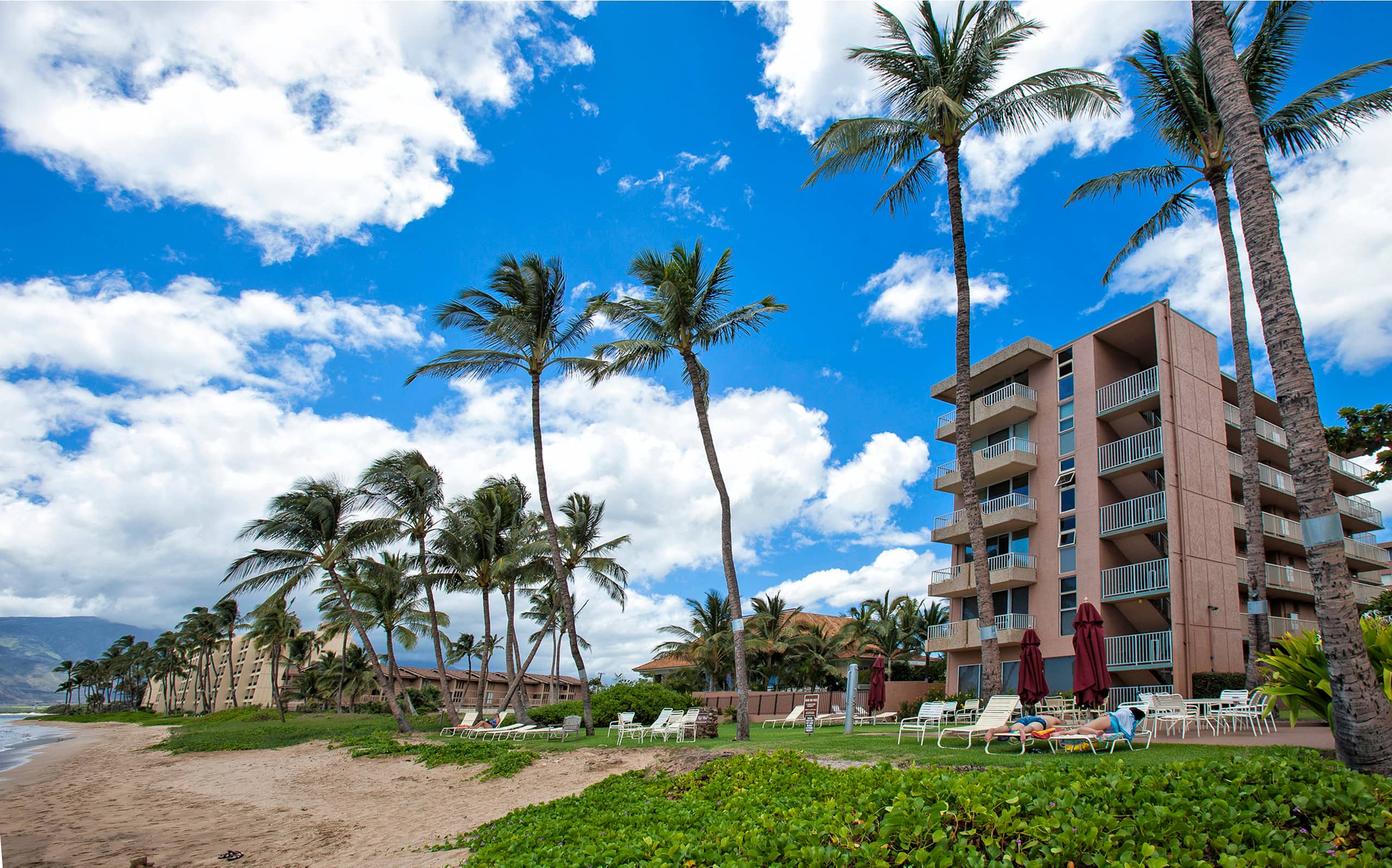 Condo in Kihei · ★5.0 · 1 bedroom · 2 beds · 2 shared baths - Image 25