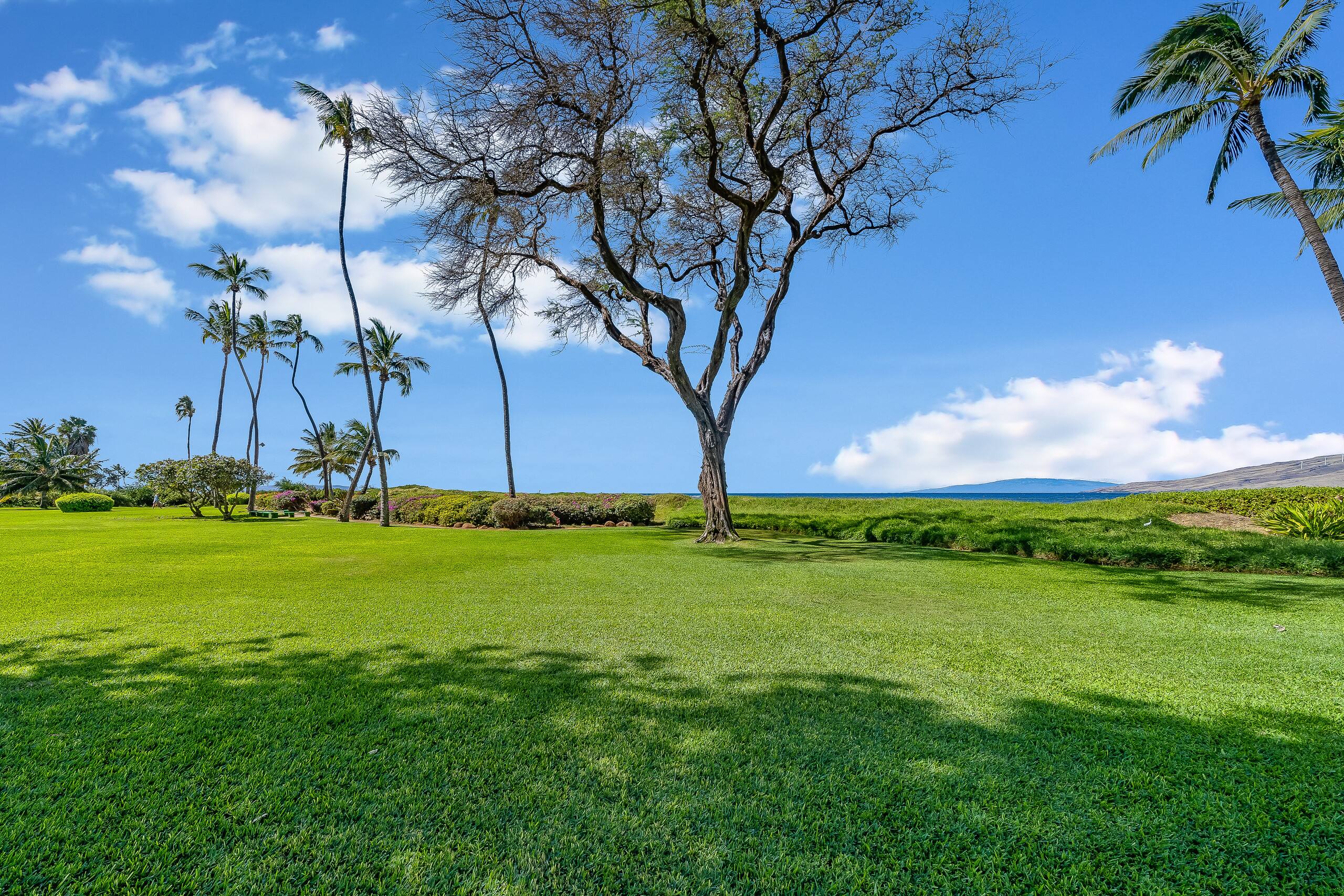 Condo in Kihei · ★4.35 · 3 bedrooms · 3 beds · 2 private baths - Image 28