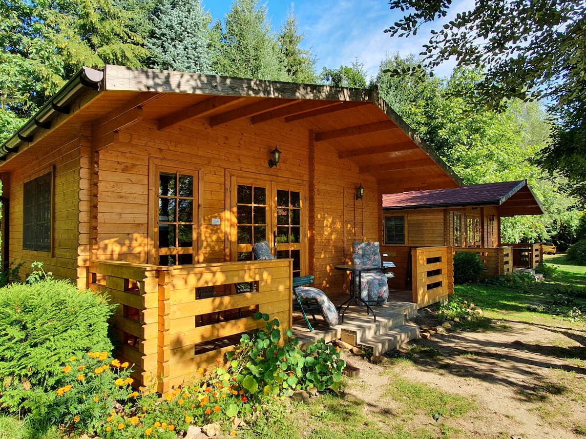 A wooden cabin is set amid a lush green landscape, featuring a covered porch with seating. Large windows allow natural light to brighten the interior. Surrounding flowers and trees enhance the cabin's peaceful setting.