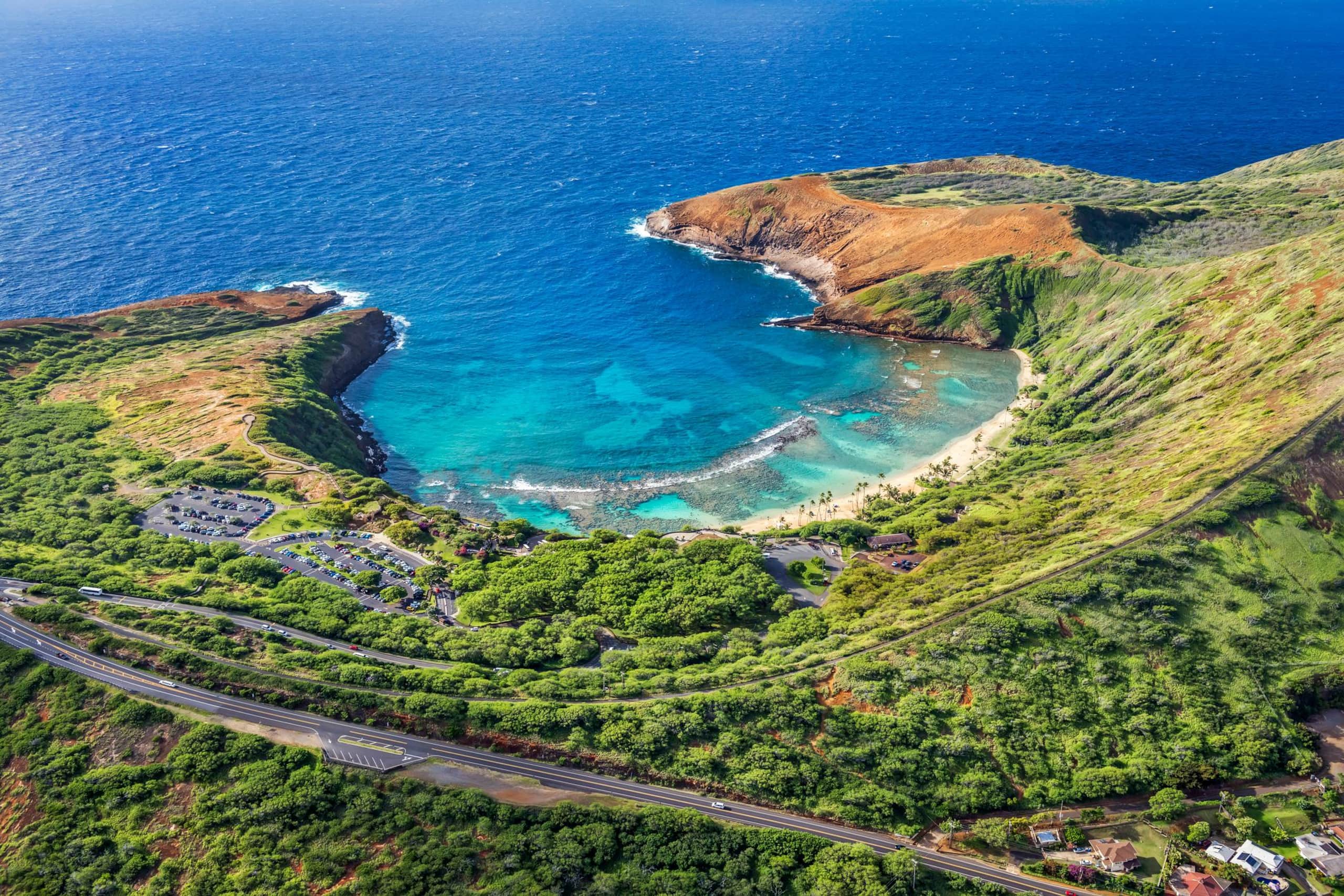 Condo in Honolulu · ★4.44 · Studio · 1 bed · 1 private bath - Image 16