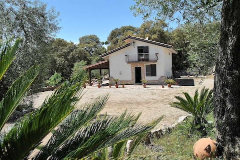 Annuncio Airbnb popolare: Villa Cycas relaxation between sea and nature a Itri