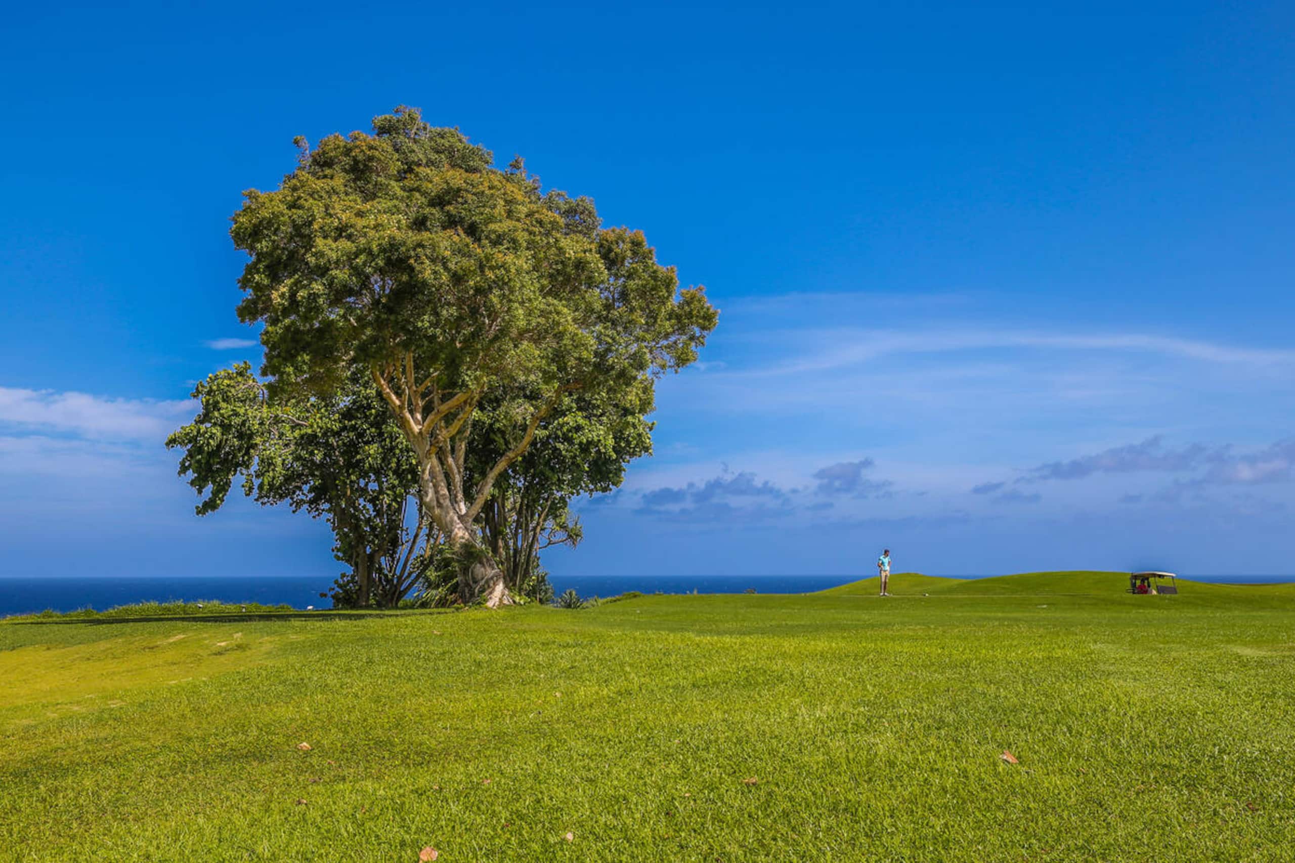 Condo in Princeville · ★4.86 · 1 bedroom · 2 beds · 2 shared baths - Image 28