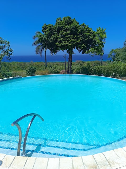 Hospitality Expert HALF HILL: Pool, Beach & Chef