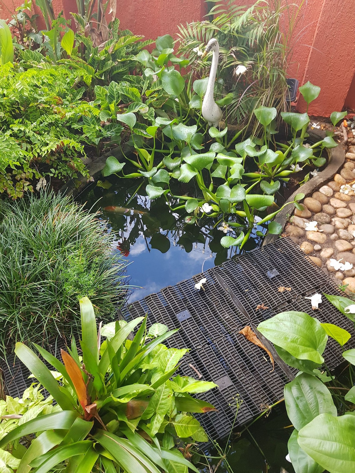 A serene garden space features a tranquil pond surrounded by lush greenery. Water lilies float on the surface, while stones line the edge. A decorative heron stands among the plants, blending harmoniously with the natural setting.