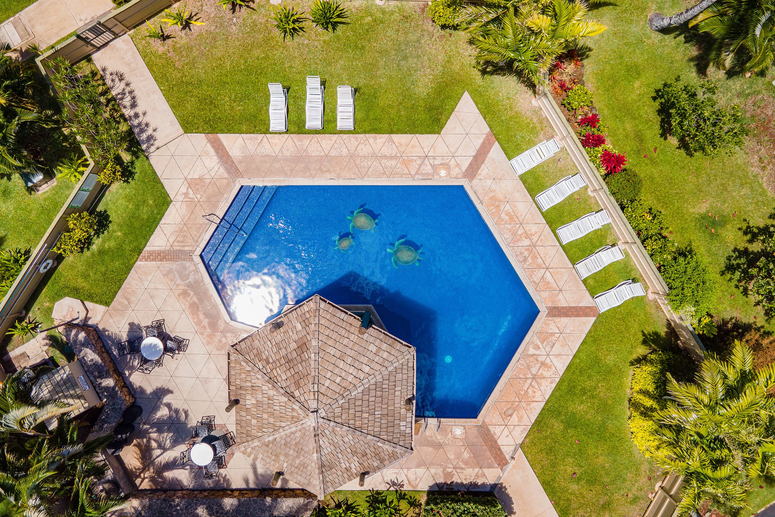 Condo in Kahuku · ★4.83 · 1 bedroom · 2 beds · 1 shared bath - Image 35