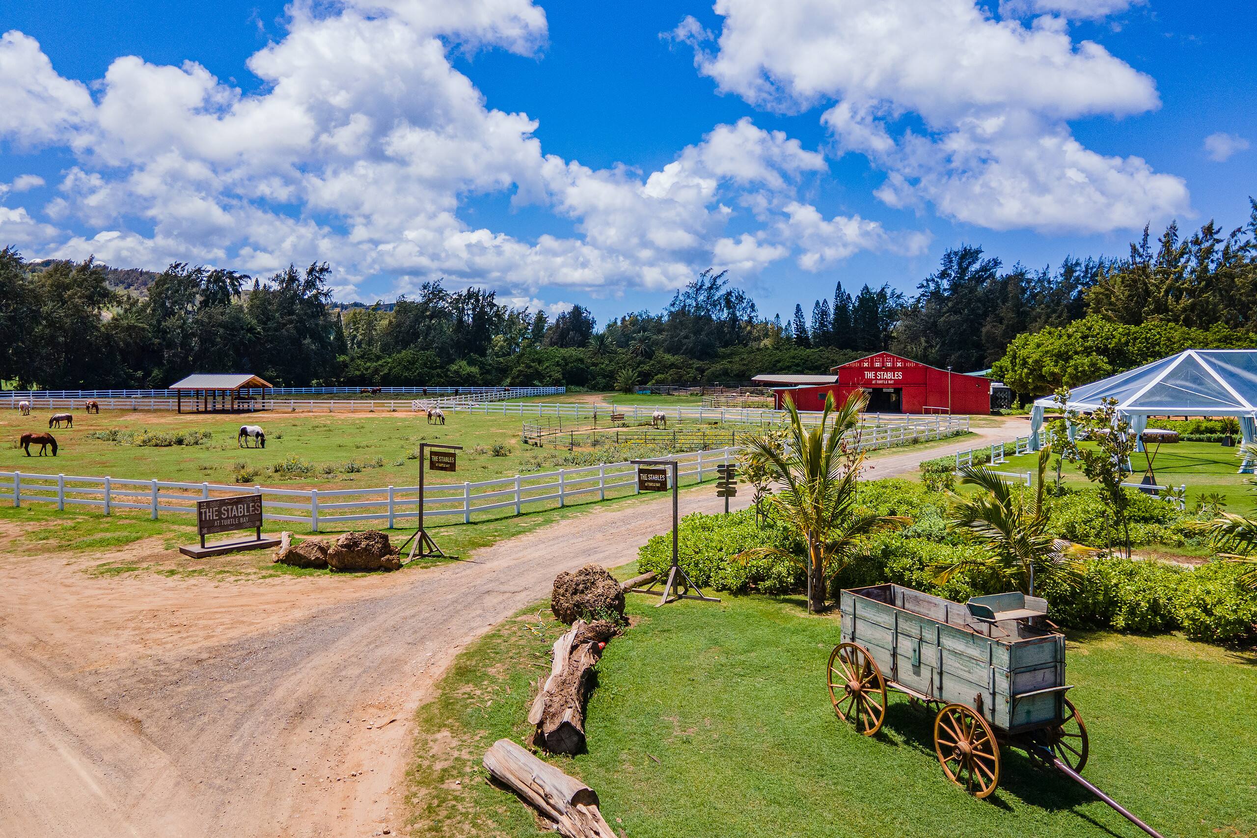 Condo in Kahuku · ★4.83 · 1 bedroom · 2 beds · 1 shared bath - Image 31