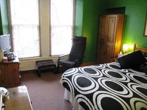 A spacious room features a comfortable bed with a patterned black and white duvet cover. A large window allows natural light to enter, complementing the green walls. A wardrobe is visible beside a black lounge chair, and a television is positioned on a wooden dresser.