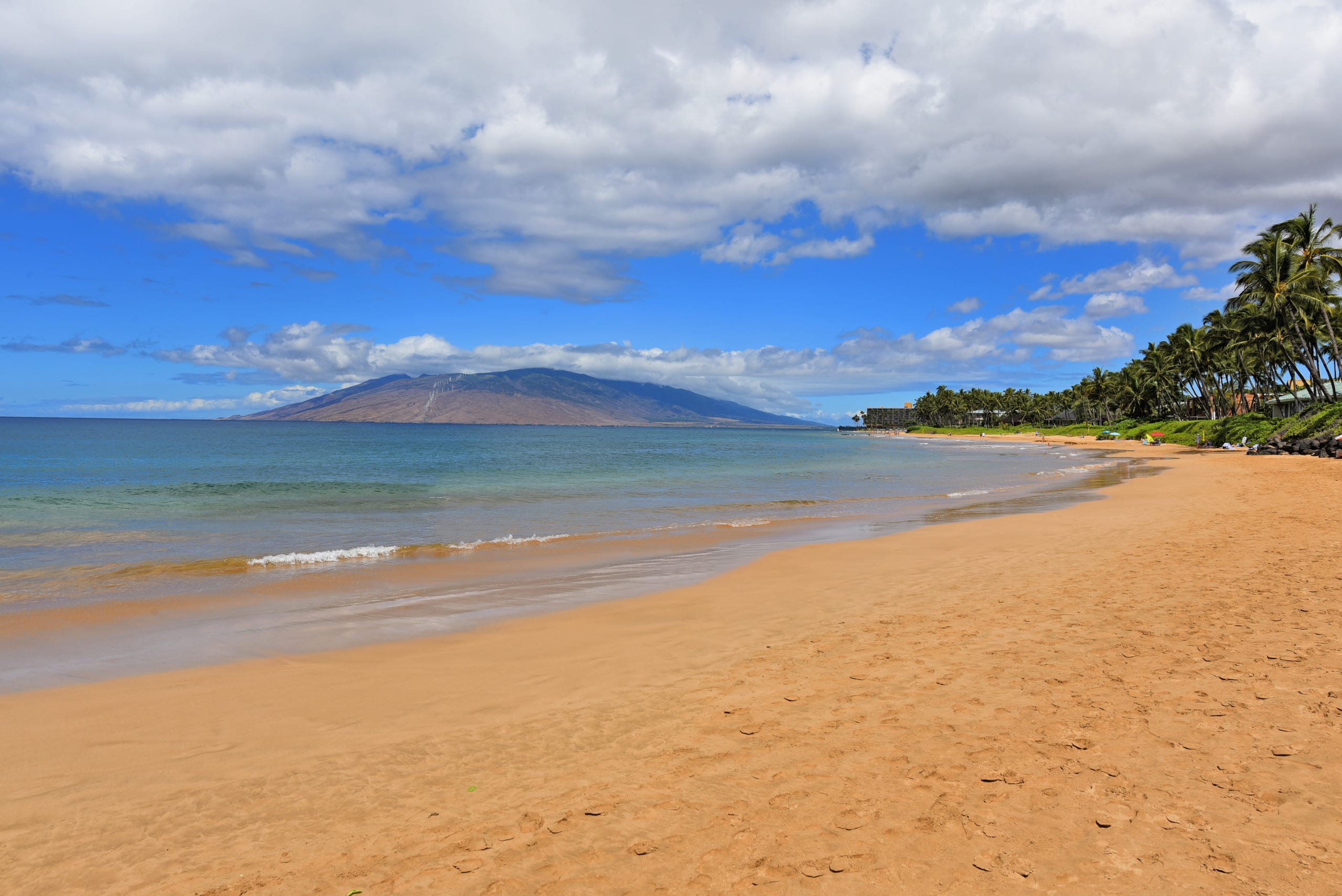 Condo in Kihei · ★4.44 · 1 bedroom · 2 beds · 2 baths - Image 25