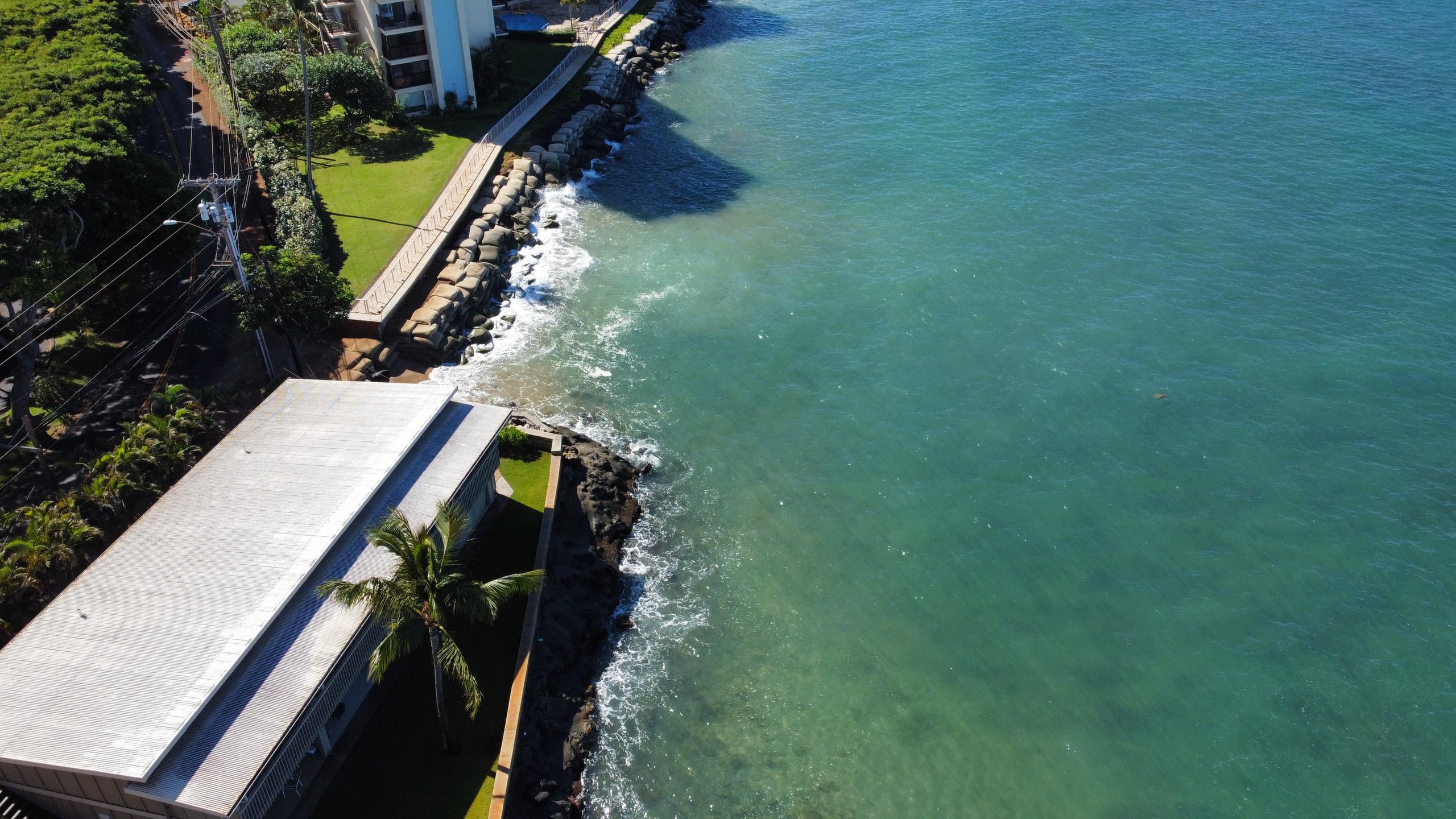 Condo in Lahaina · ★5.0 · 1 bedroom · 1 bed · 1 bath - Image 46
