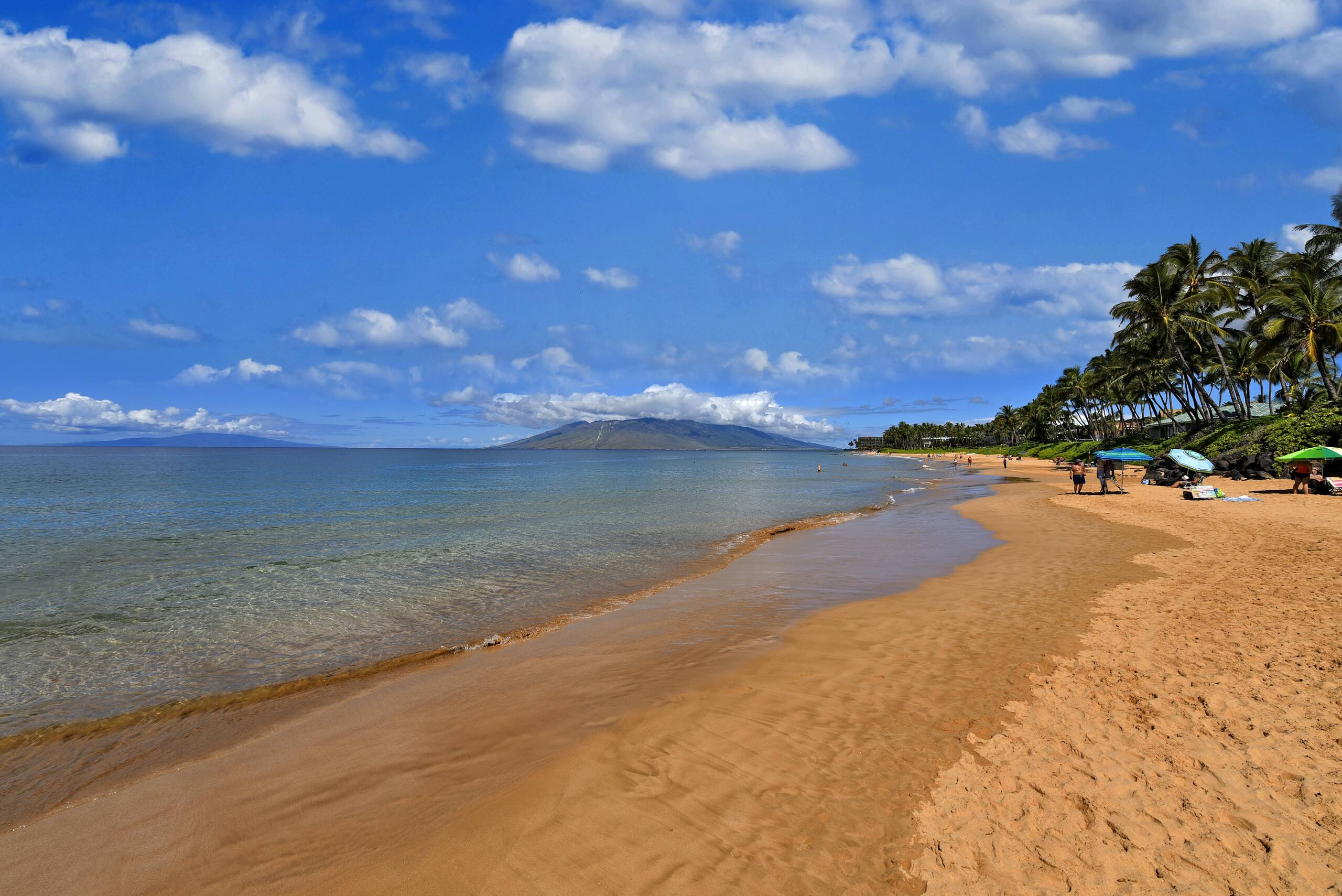 Condo in Kihei · ★4.7 · 2 bedrooms · 4 beds · 2 baths - Image 29