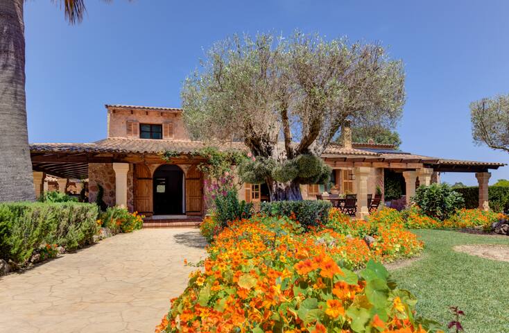 Rent a villa Mallorca managed Airbnb listing 2