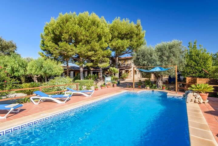 Sa Sort gallery image 2