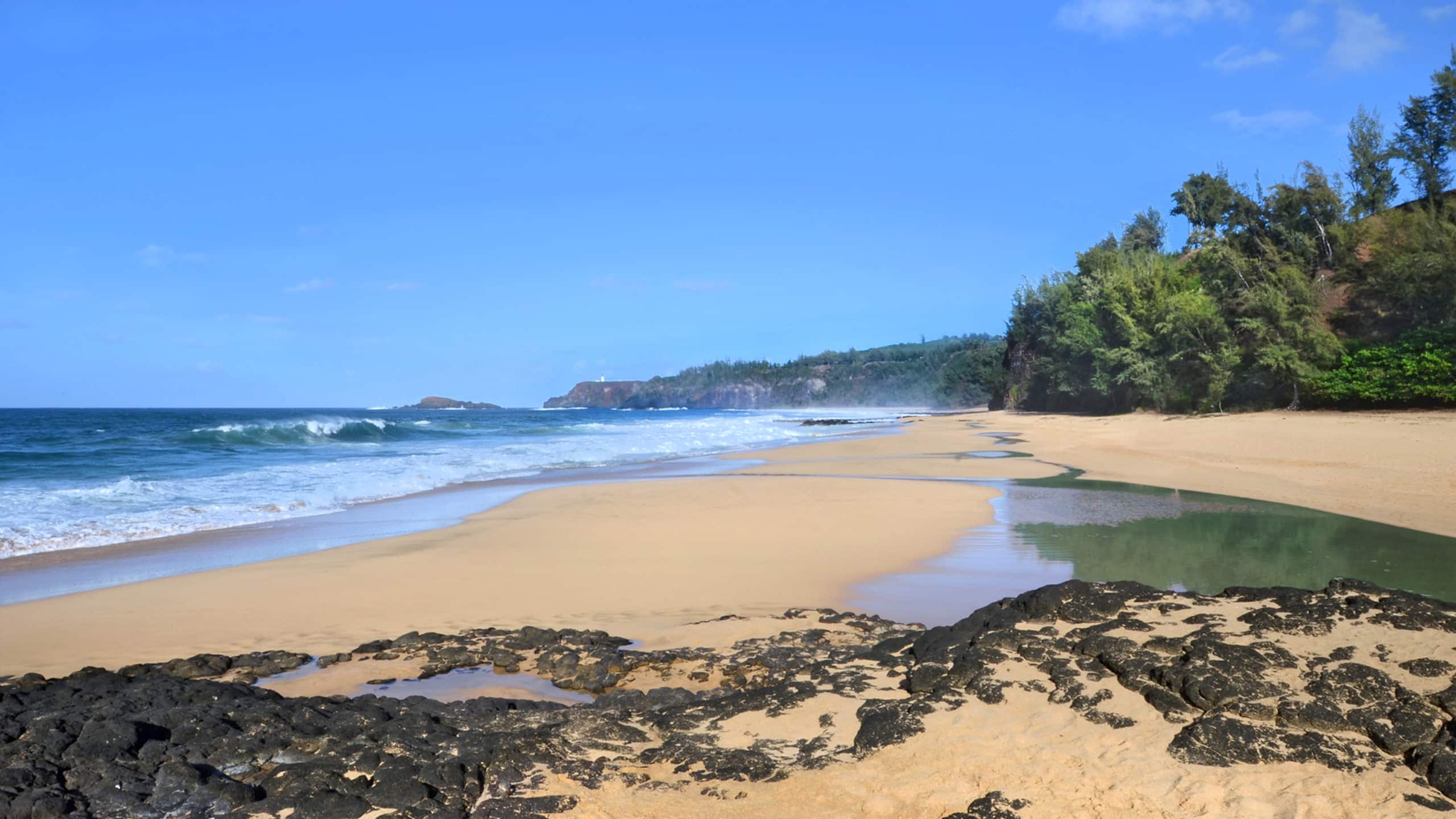 Emmalani Court 212 By Parrish Kauai Great Pville - Photo 24