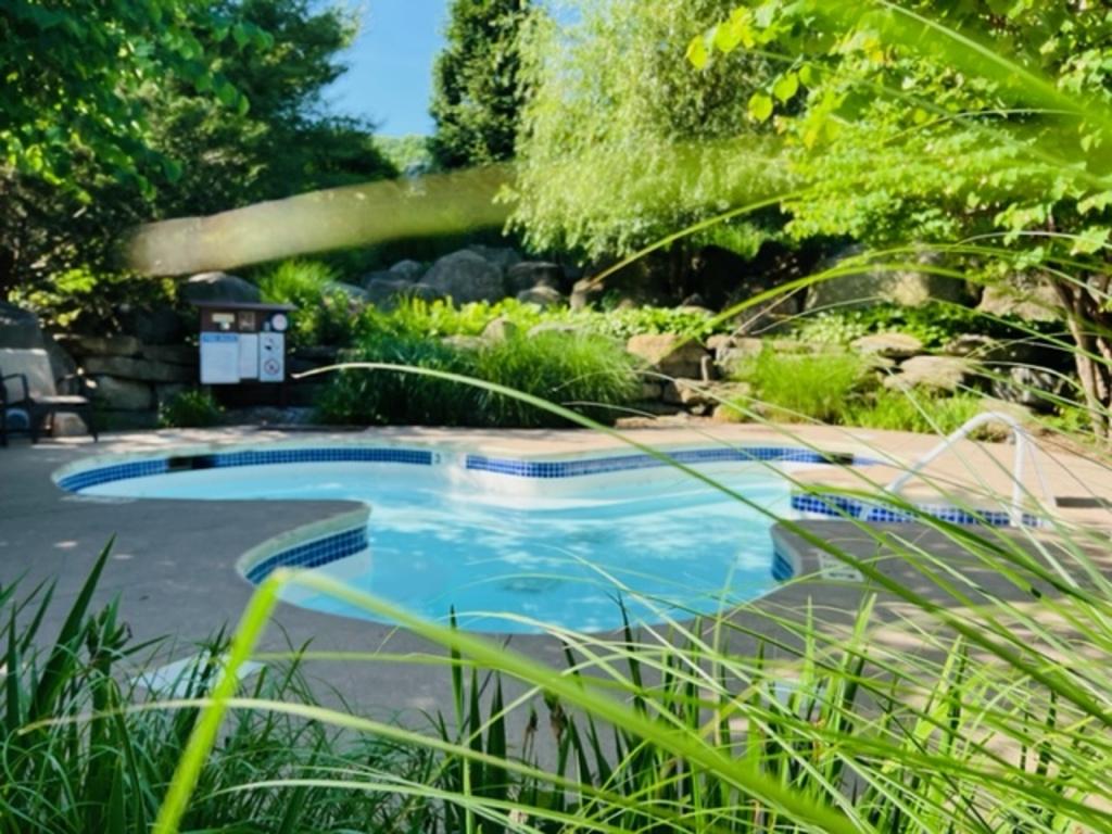 An outdoor heated pool is surrounded by lush greenery and mature trees. Natural stones and carefully arranged plants create a tranquil setting. The pool features a clean, curvy design with blue tiles along the edges, inviting guests to enjoy its refreshing waters.