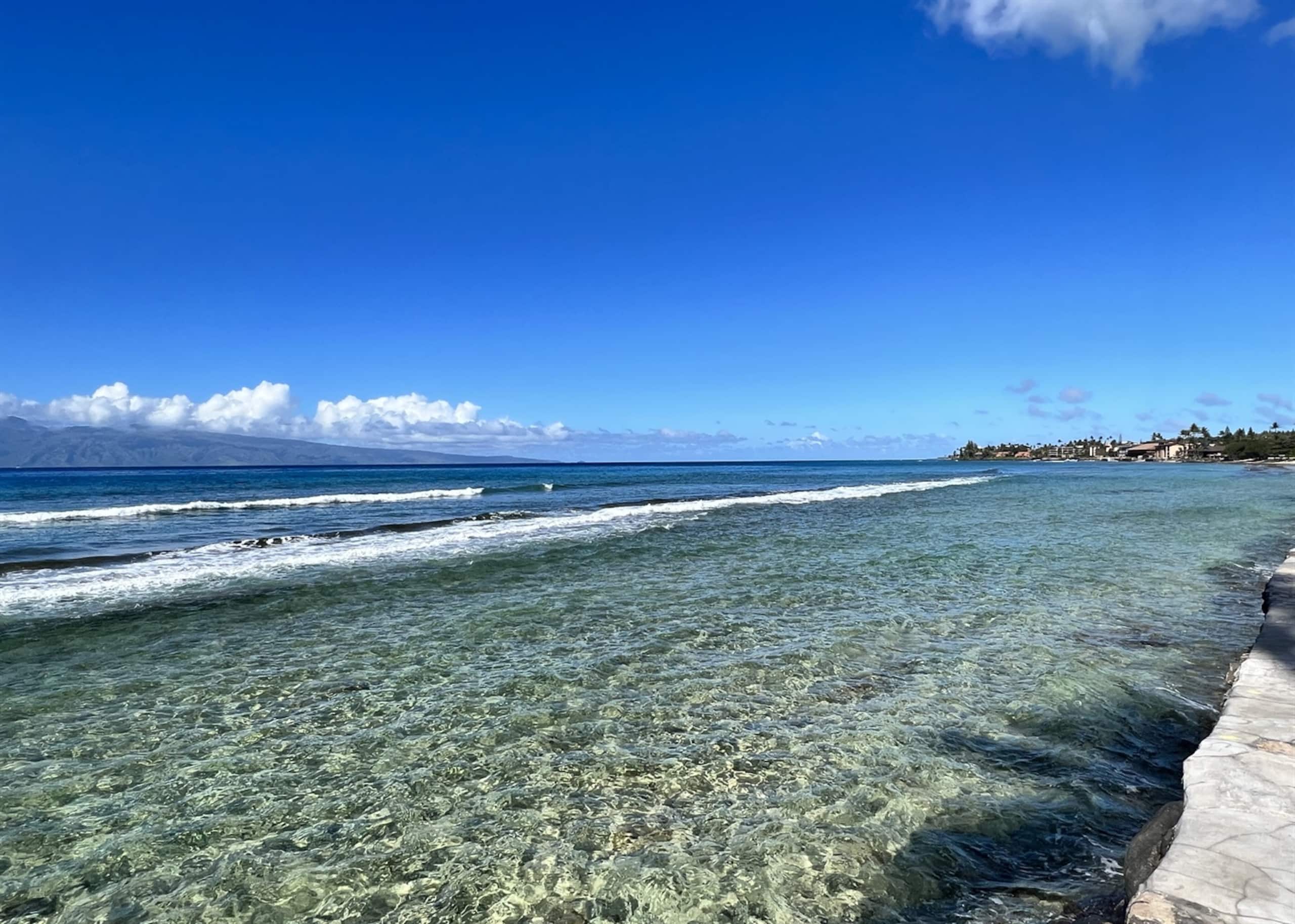 Condo in Lahaina · ★4.63 · 2 bedrooms · 3 beds · 2 baths - Image 46