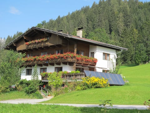 Leistungsstarkes Airbnb: Gratlspitz by Interhome in Wildschönau