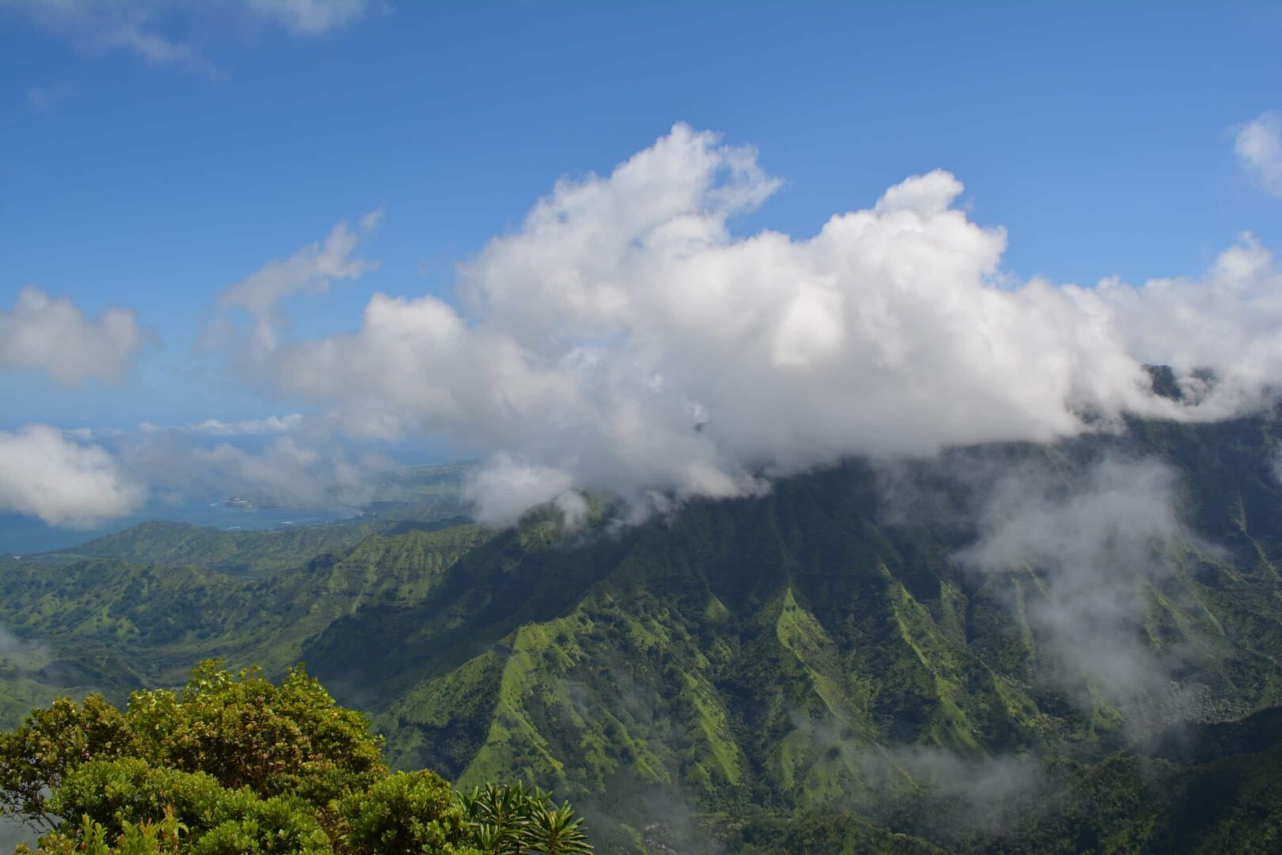Villa in Princeville · ★4.97 · 2 bedrooms · 2 beds · 2 private baths - Image 35