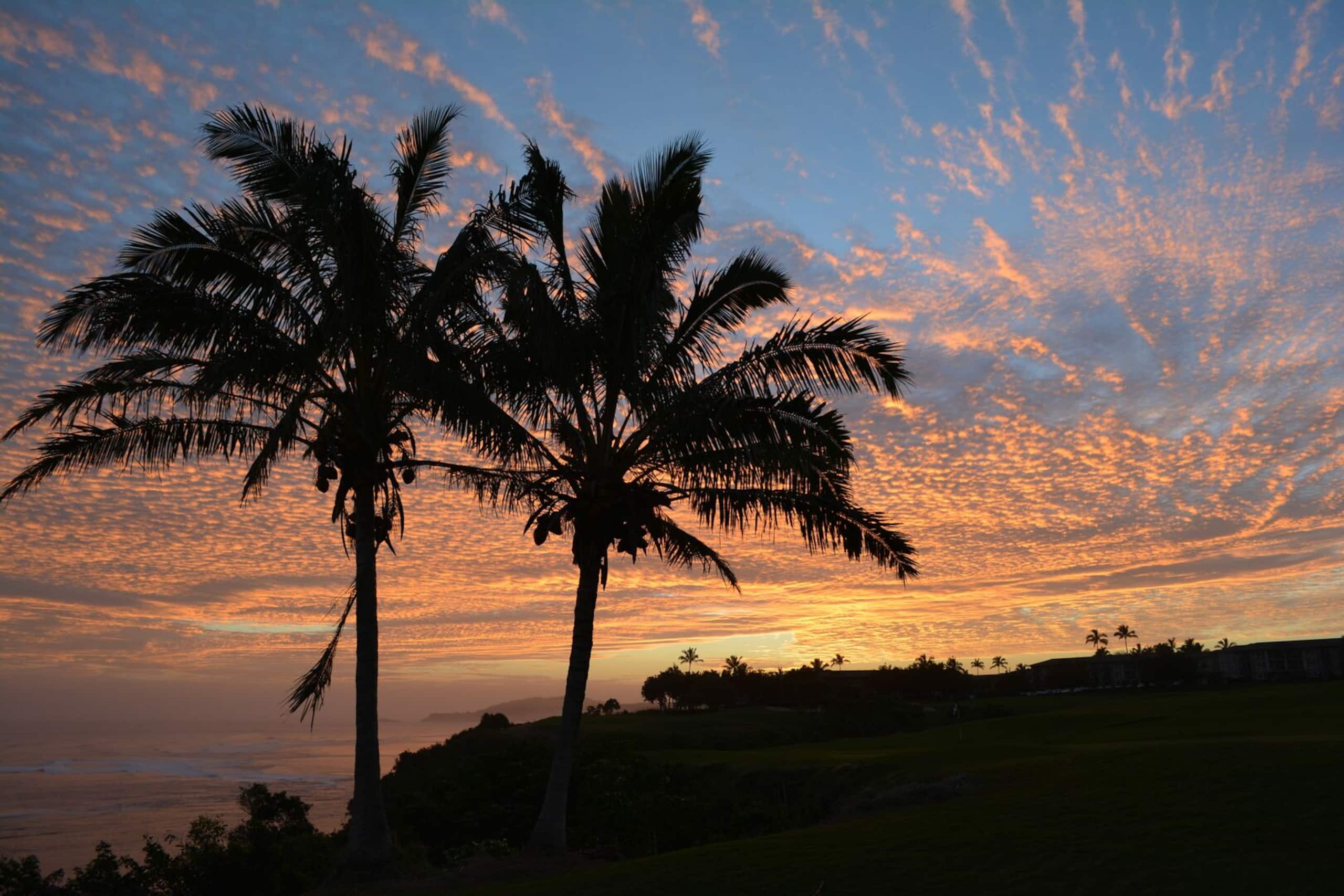 Villa in Princeville · ★4.97 · 2 bedrooms · 2 beds · 2 private baths - Image 30