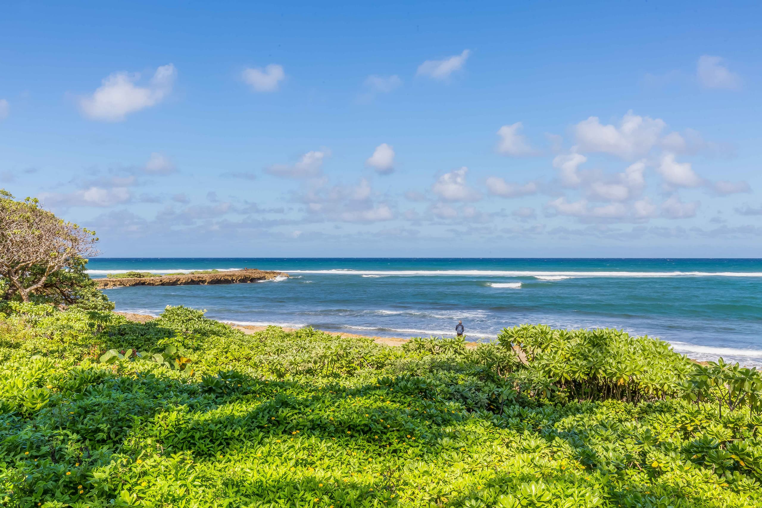 Condo in Kahuku · ★4.92 · 3 bedrooms · 3 beds · 2 shared baths - Image 21