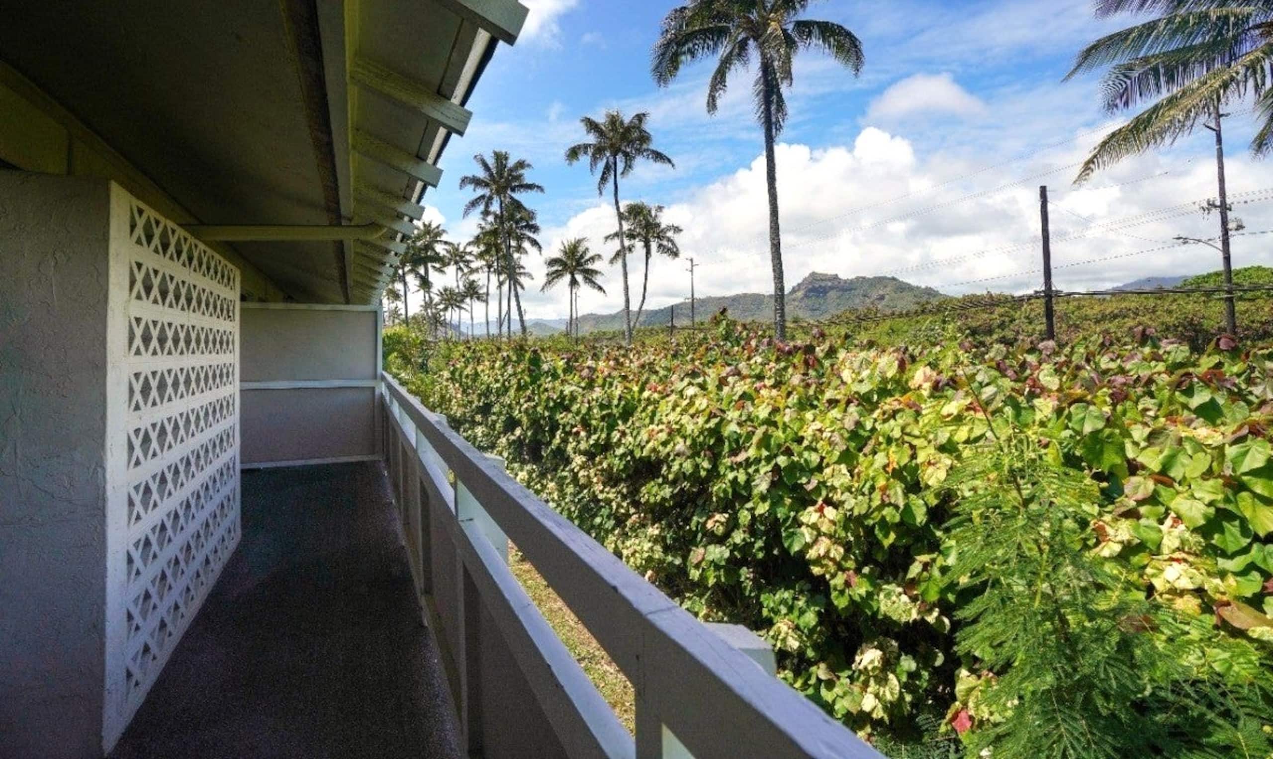 Kapaa Condo w/ King Bed, AC, Pools, Private Lanai - Photo 8