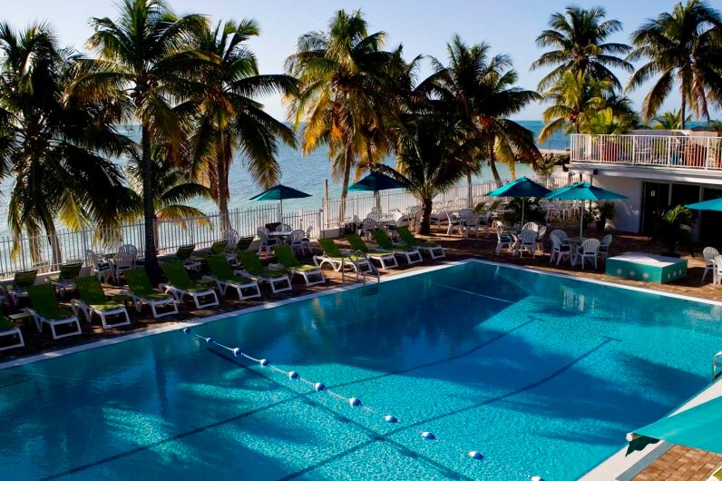 A serene pool area is surrounded by tall palm trees, with lounge chairs positioned nearby. The clear blue water of the pool reflects the sunlight, and several umbrellas provide shade. The ocean is visible in the background, enhancing the tranquil atmosphere.