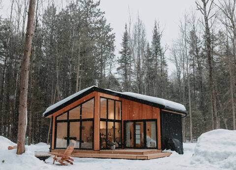 Cozy Cabin for 2 Nestled in the Pines (With Sauna)