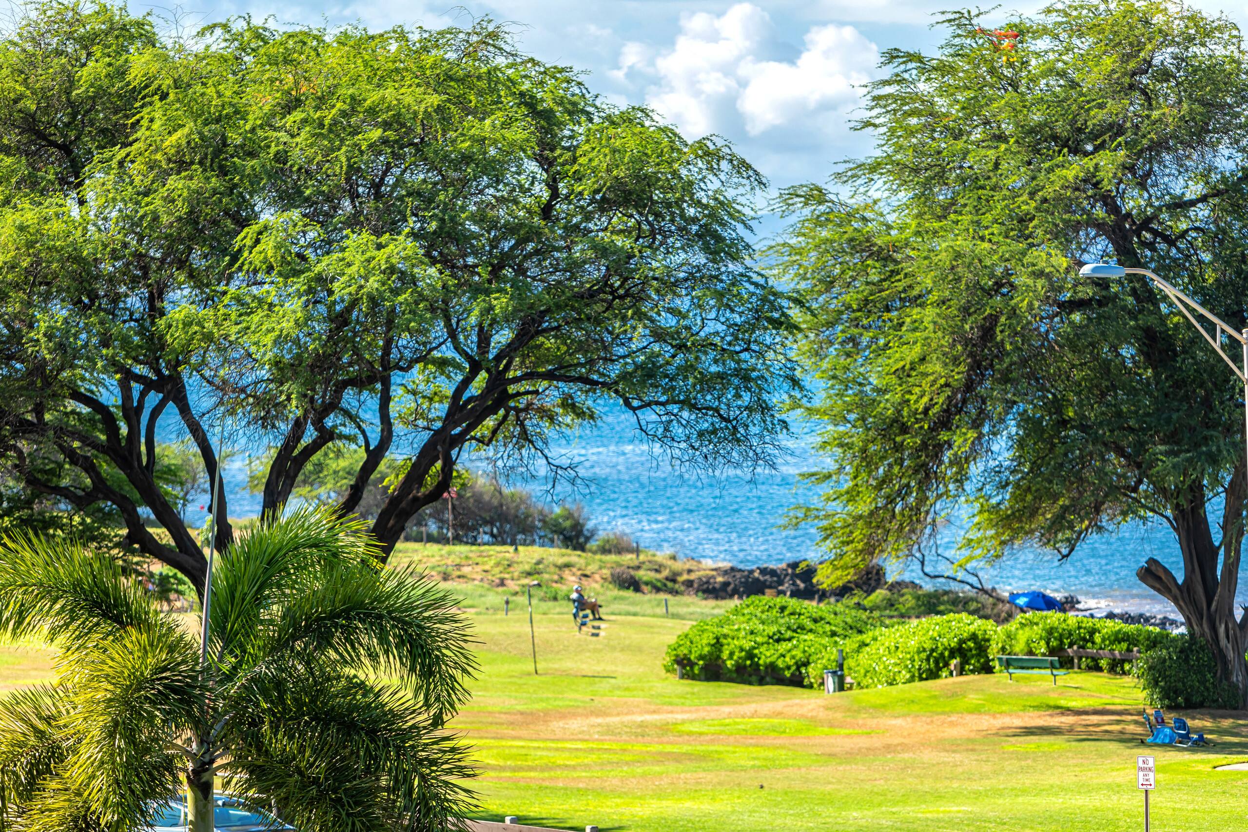 Condo in Kihei · ★4.75 · 2 bedrooms · 2 beds · 2 baths - Image 40