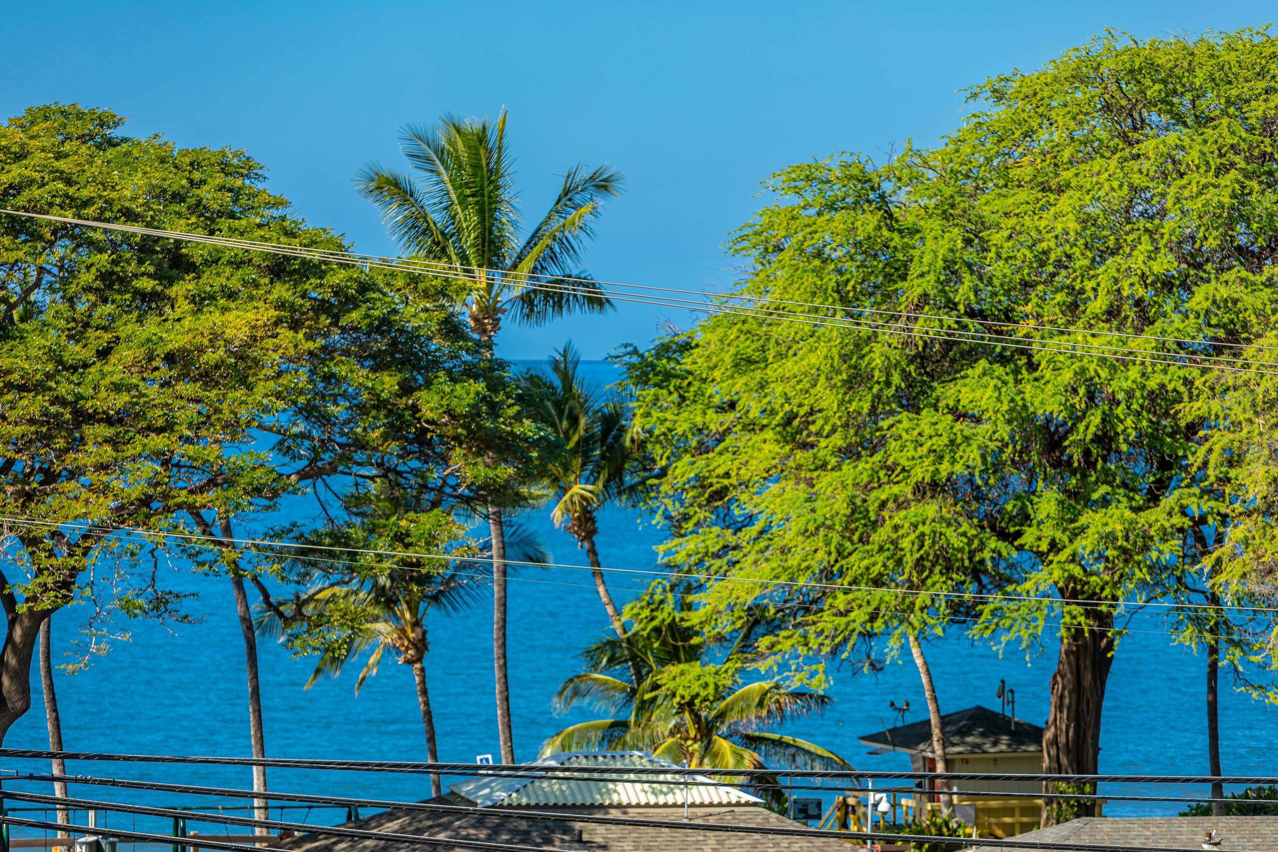 Condo in Kihei · ★4.75 · 2 bedrooms · 2 beds · 2 baths - Image 42
