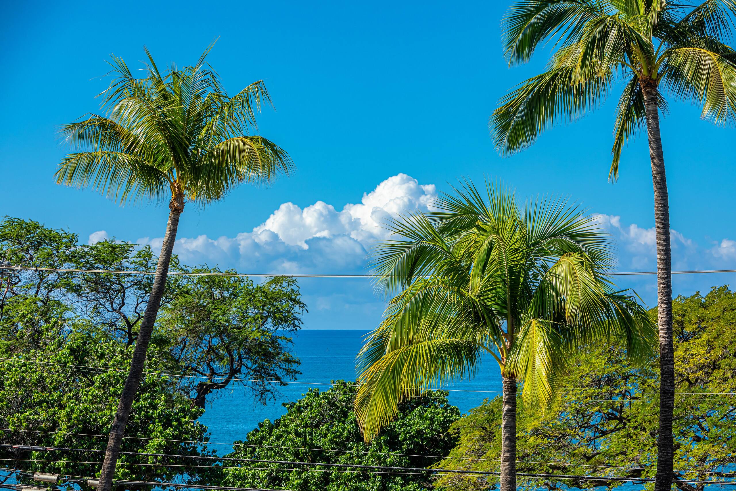 Condo in Kihei · ★4.75 · 2 bedrooms · 2 beds · 2 baths - Image 41