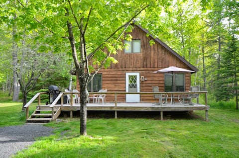 Woodland Escape | Charming Cabin Steps to the Lake