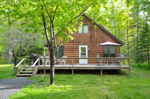 Woodland Escape | Charming Cabin Steps to the Lake