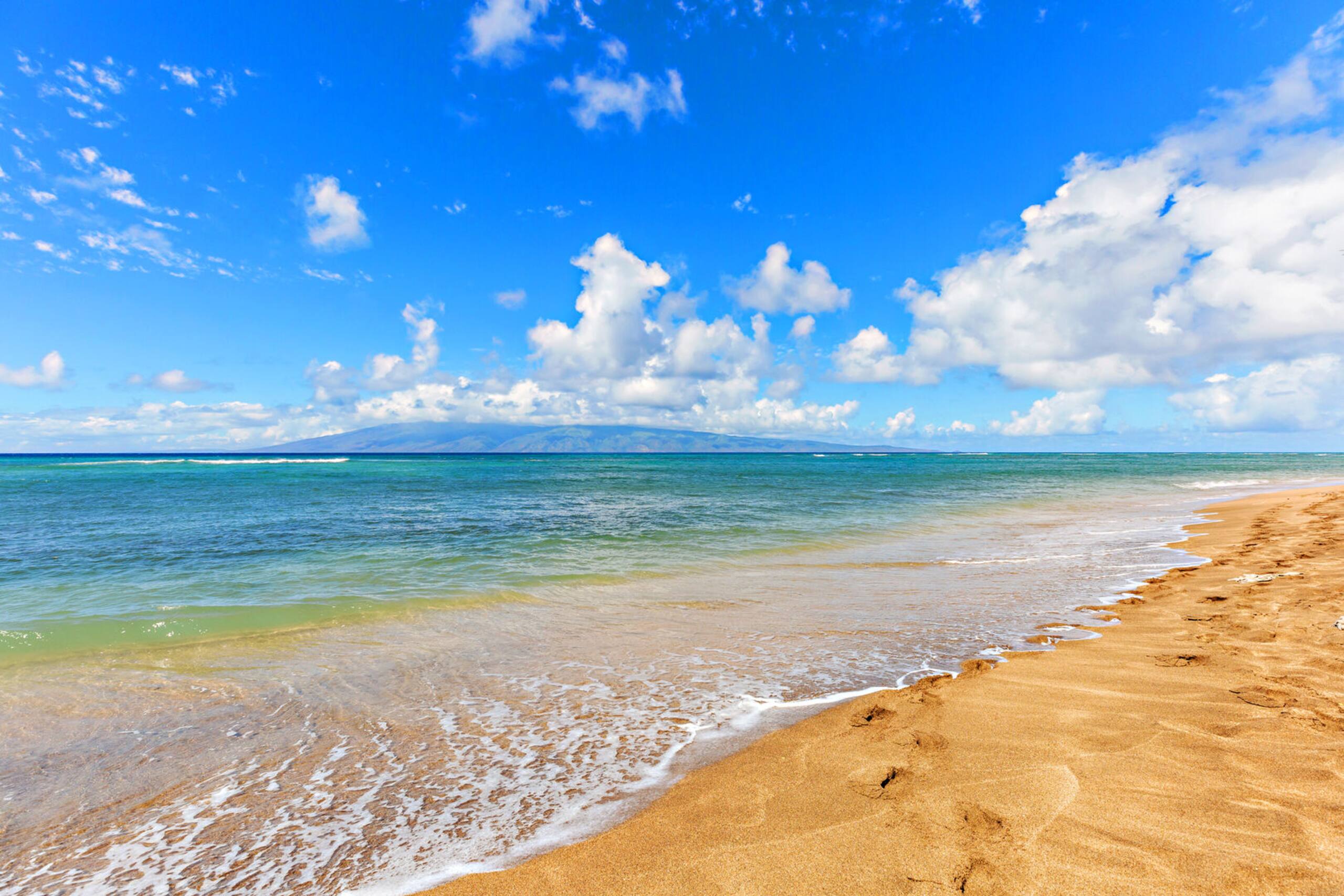 Condo in Lahaina · ★4.88 · 1 bedroom · 2 beds · 1 private bath - Image 34