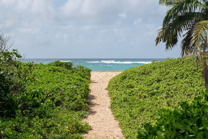 Secluded Sands ~ 7BR 4BA Private Beach Access, A/C