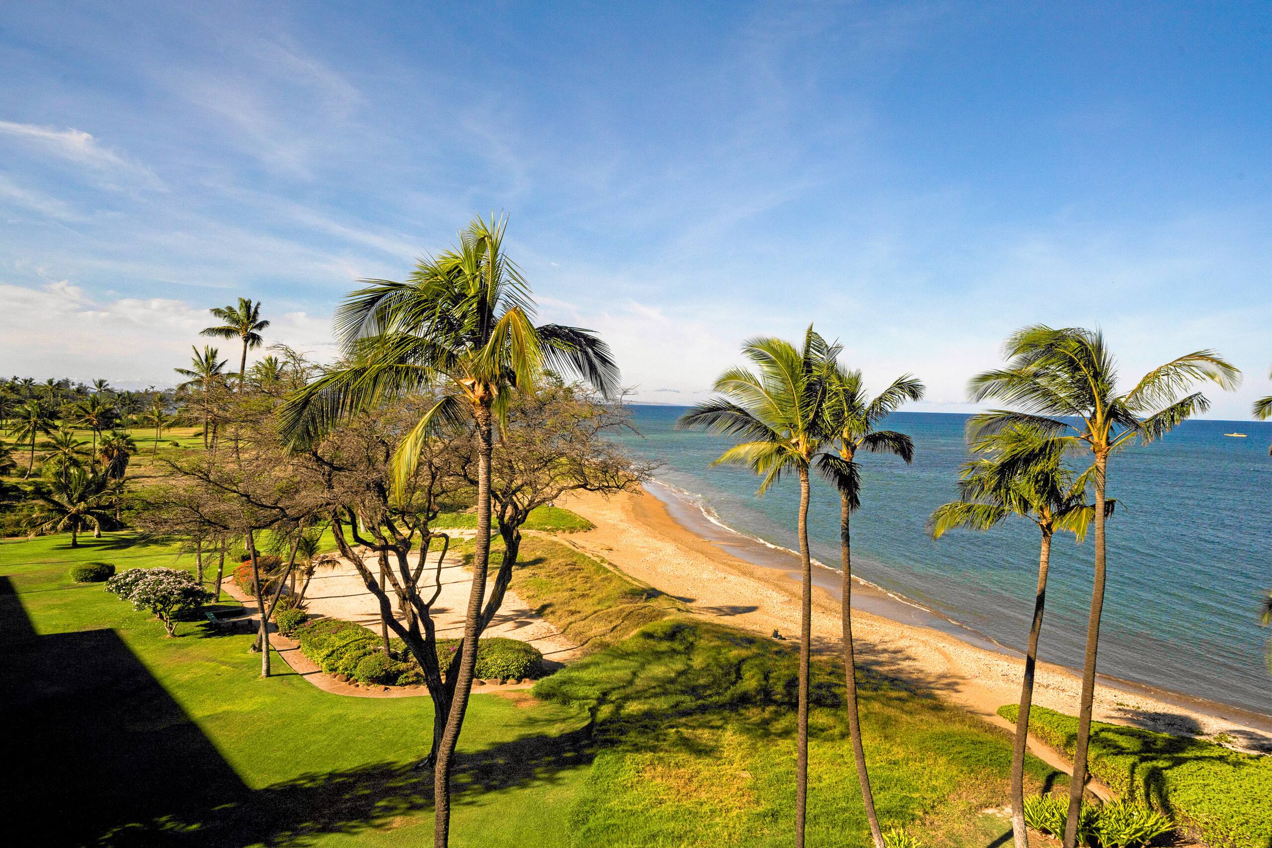 Condo in Kihei · ★4.34 · 2 bedrooms · 3 beds · 2 baths - Image 29