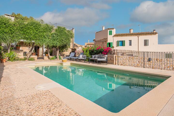 Numero Uno gallery image 3