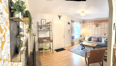 Top performing Airbnb: Beautiful 2 King Beds. Close to everything. in South River City