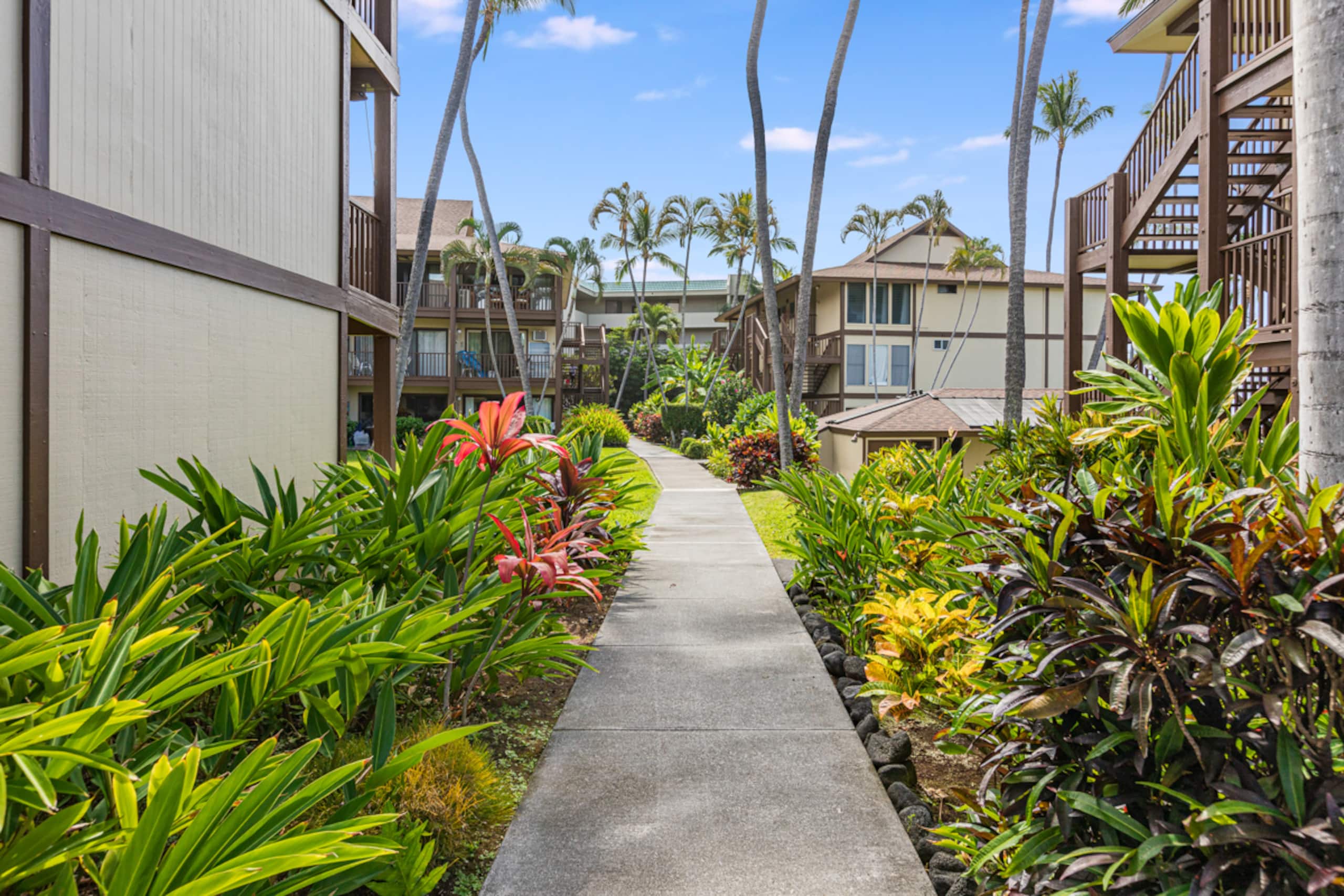 Condo in Kailua-Kona · ★4.78 · 1 bedroom · 2 beds · 1 private bath - Image 18