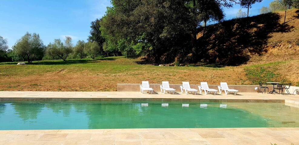 Recientemente restaurada, cómoda, piscina privada! gallery image 3