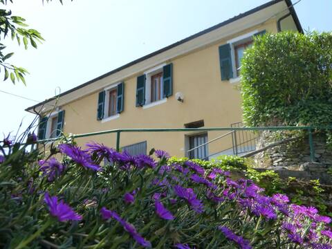 Casa dei Fiori