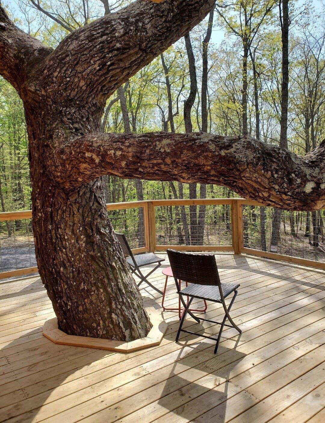 Red Room Cabin ~ The Treehouse Dungeon for Couples - Treehouses for Rent in  Dunlap, Tennessee, United States - Airbnb