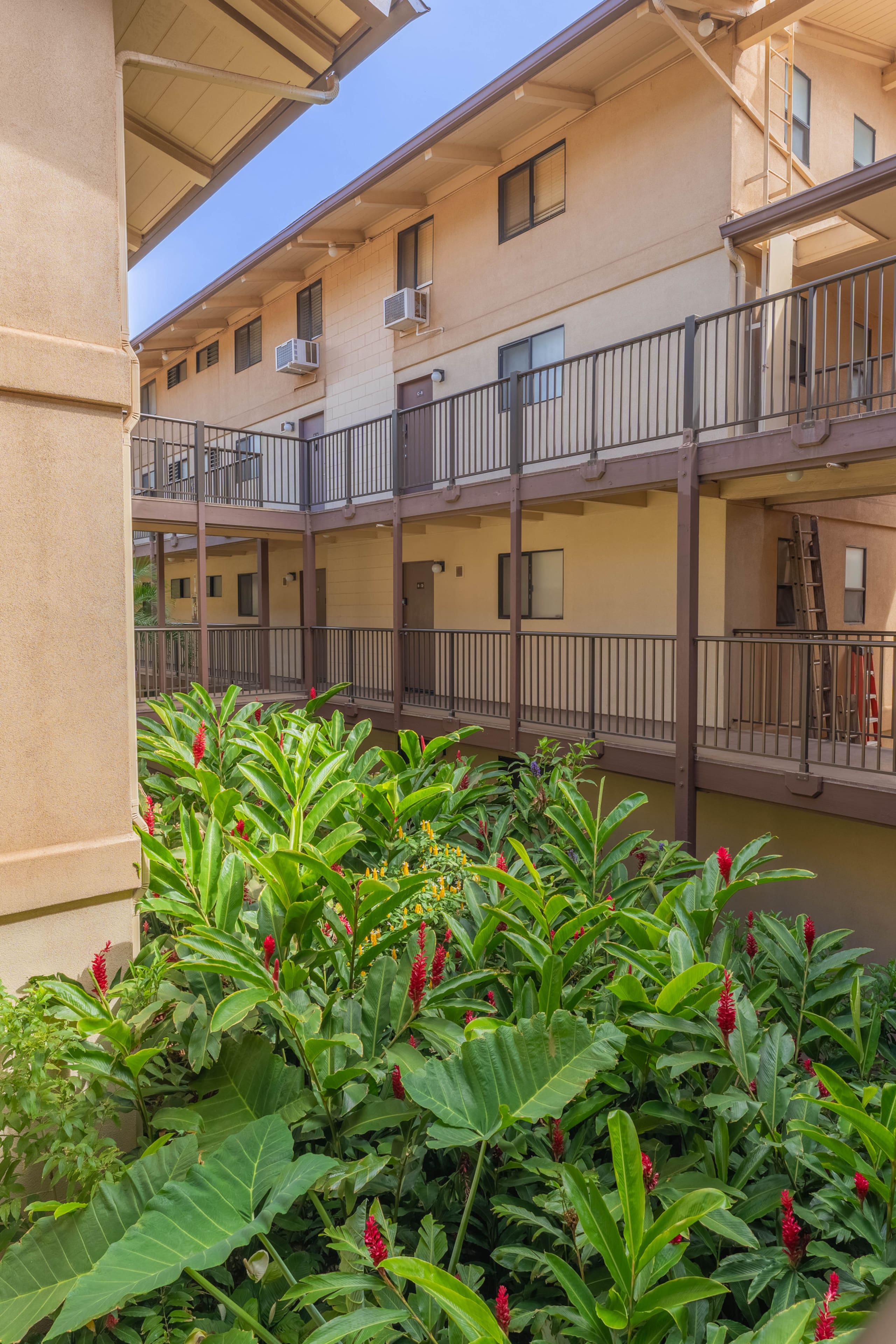 Condo in Wailuku · ★4.84 · 2 bedrooms · 3 beds · 2 baths - Image 31