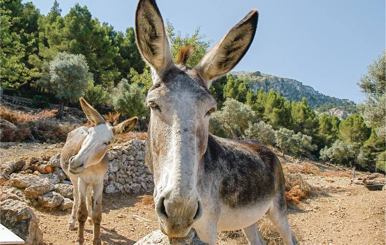 Cozy home in Estellencs with WiFi gallery image 3