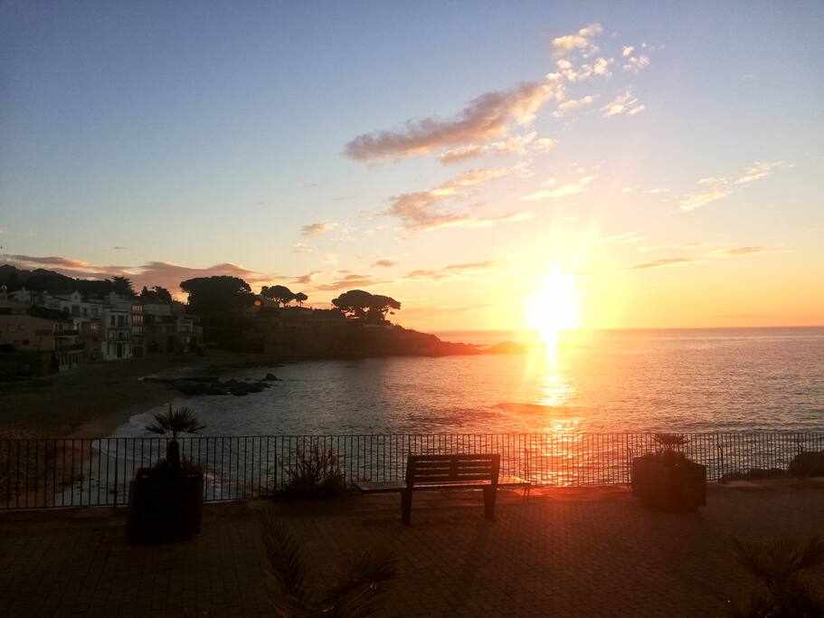 A serene coastal view captures the sun setting over the horizon, casting warm hues across the water. Silhouettes of trees and buildings are visible against the sky, with a railing in the foreground and a bench positioned to enjoy the scene.