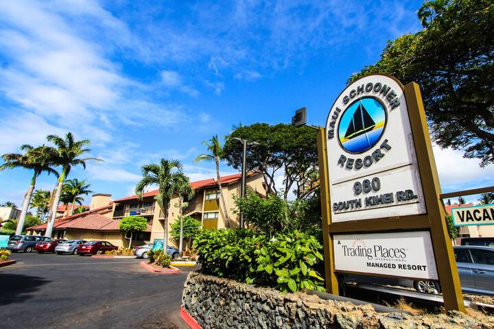 Large and Radiant 2 Bedroom Condo gallery image 2