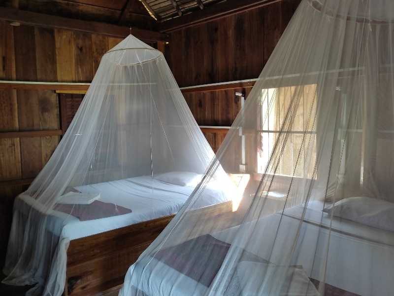 Two spacious beds are situated in a wooden bungalow, each draped with white mosquito nets. Natural light filters through the nearby windows, illuminating the rich wooden walls and flooring, creating a serene sleeping environment.