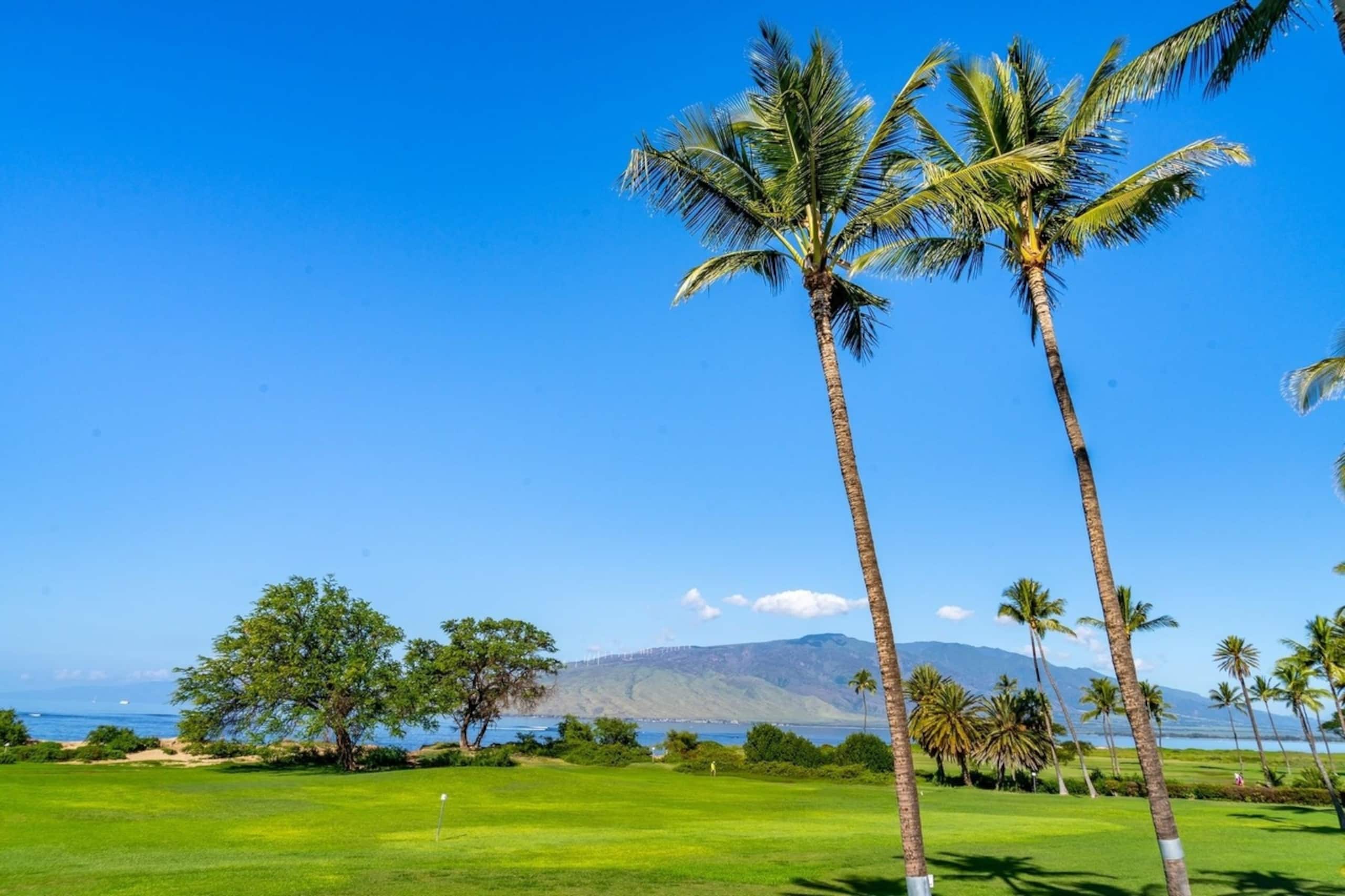 Condo in Kihei · ★4.9 · 1 bedroom · 2 beds · 1 private bath - Image 39