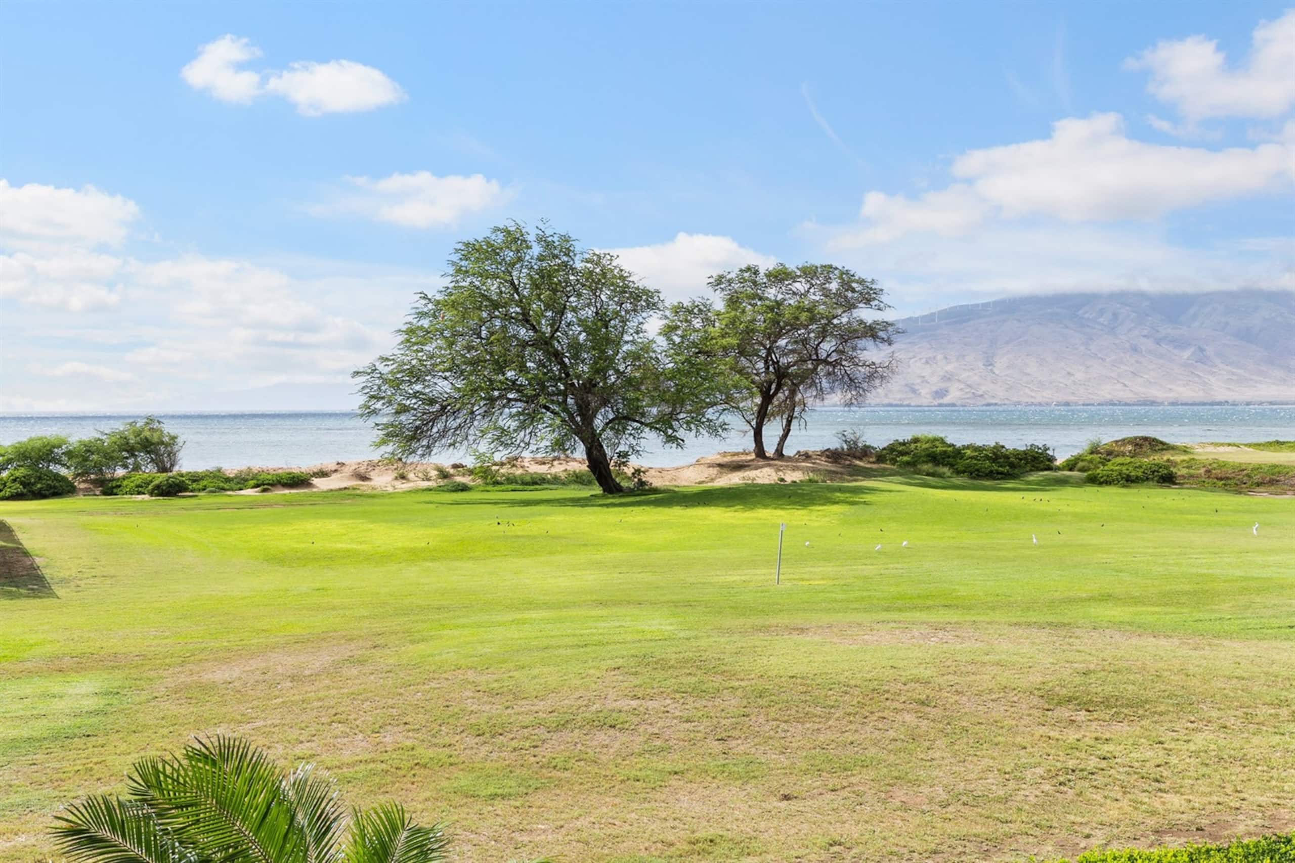 Condo in Kihei · ★4.9 · 1 bedroom · 2 beds · 1 private bath - Image 27